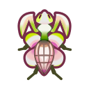 動森-蘭花螳螂