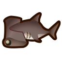 動森-雙髻鯊
