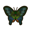 烏鴉鳳蝶