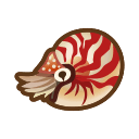 動森鸚鵡螺