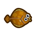 動森-鰈魚