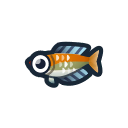 動森-彩虹魚