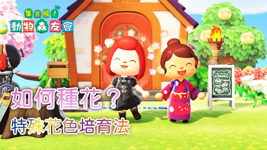 動森如何種花