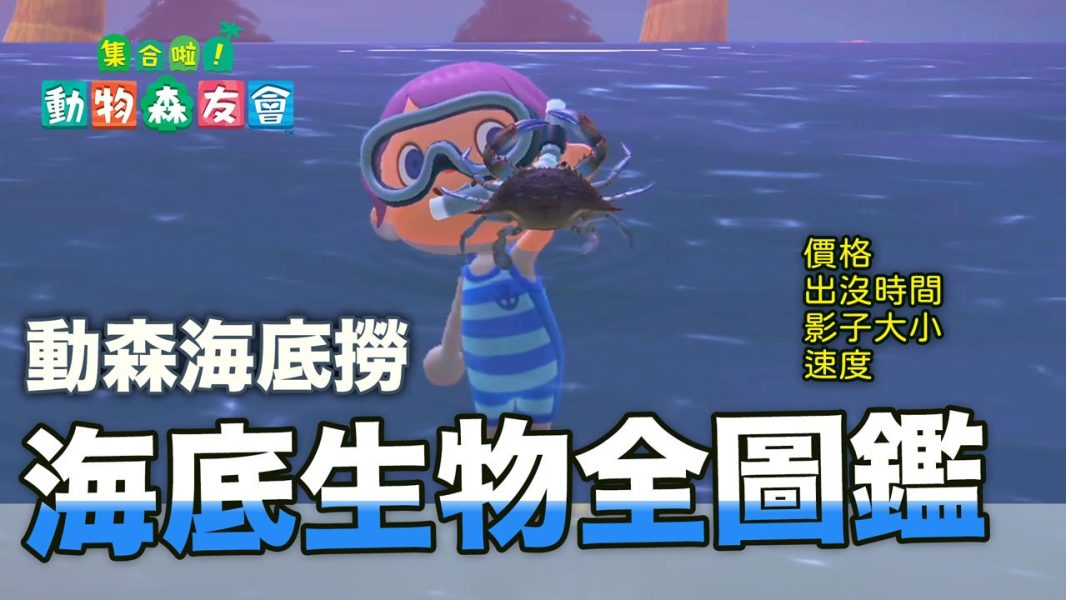 動森海底生物圖鑑
