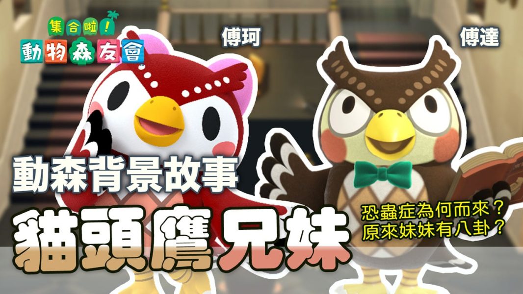動森 貓頭鷹兄妹